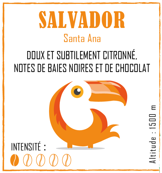 CAFE SALVADOR 250G GRAIN RECOLLETS